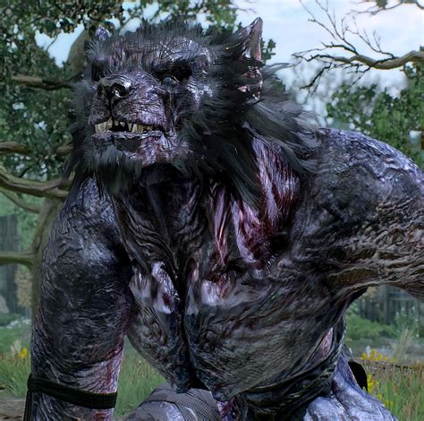 witcher 3 werewolf|witcher 3 werewolf morkvarg.
